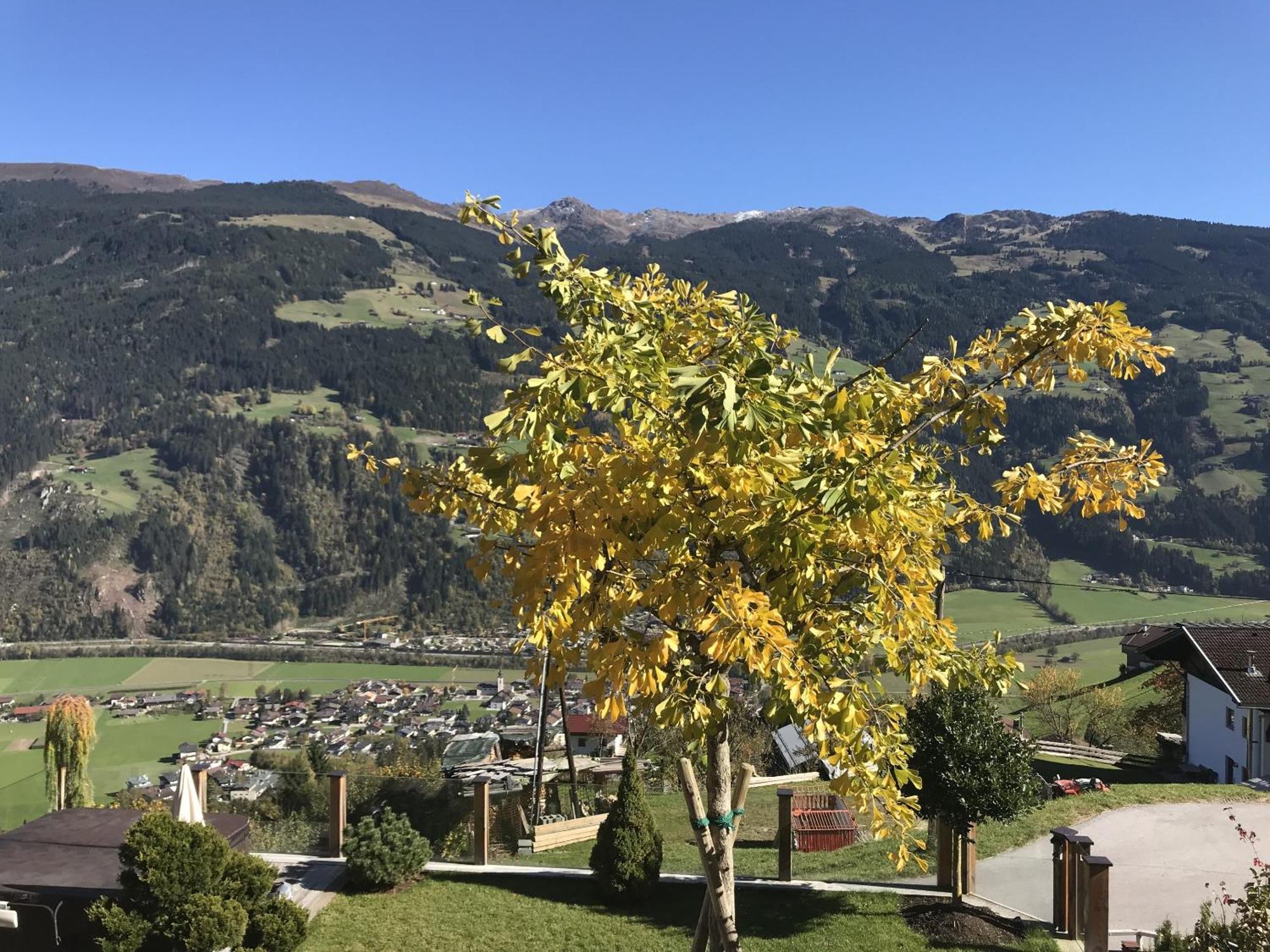 Landhaus Rieder Im Zillertal - Apart Arena Blick *
