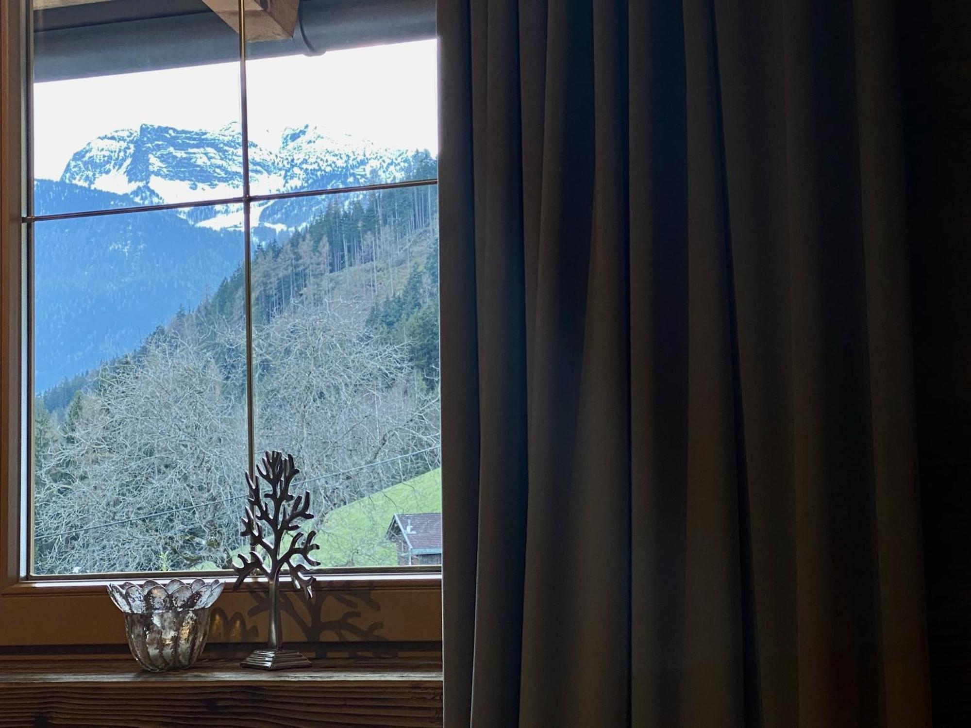 Apartment Landhaus Rieder Im Zillertal - Apart Arena Blick *