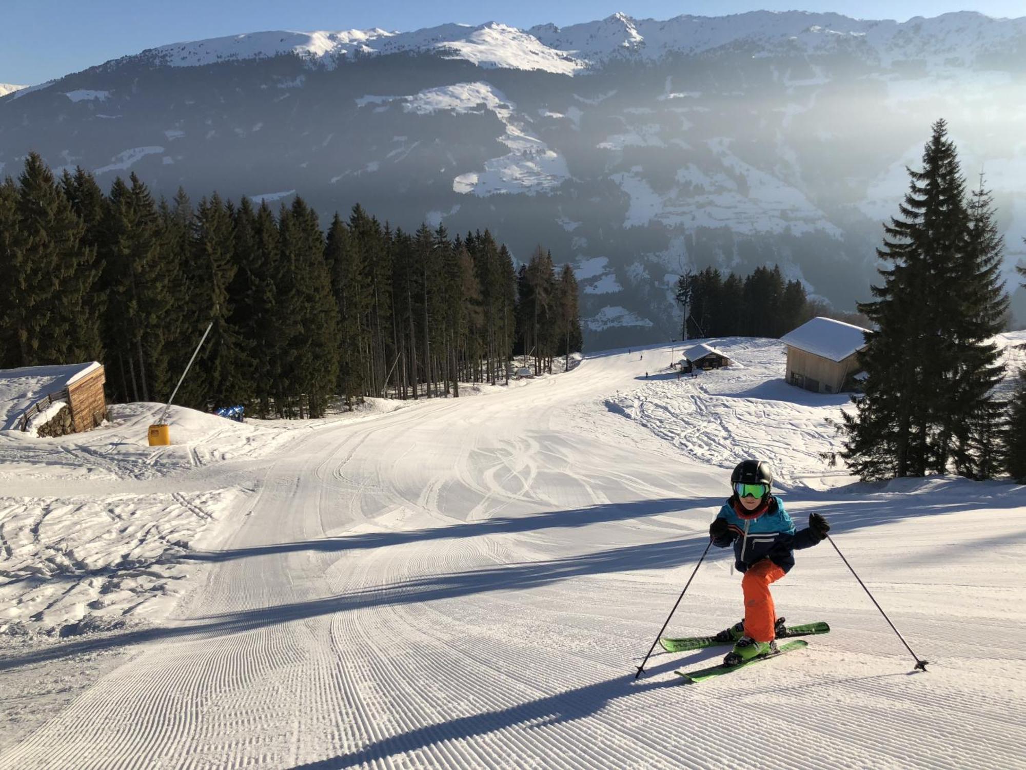 Apartment Landhaus Rieder Im Zillertal - Apart Arena Blick