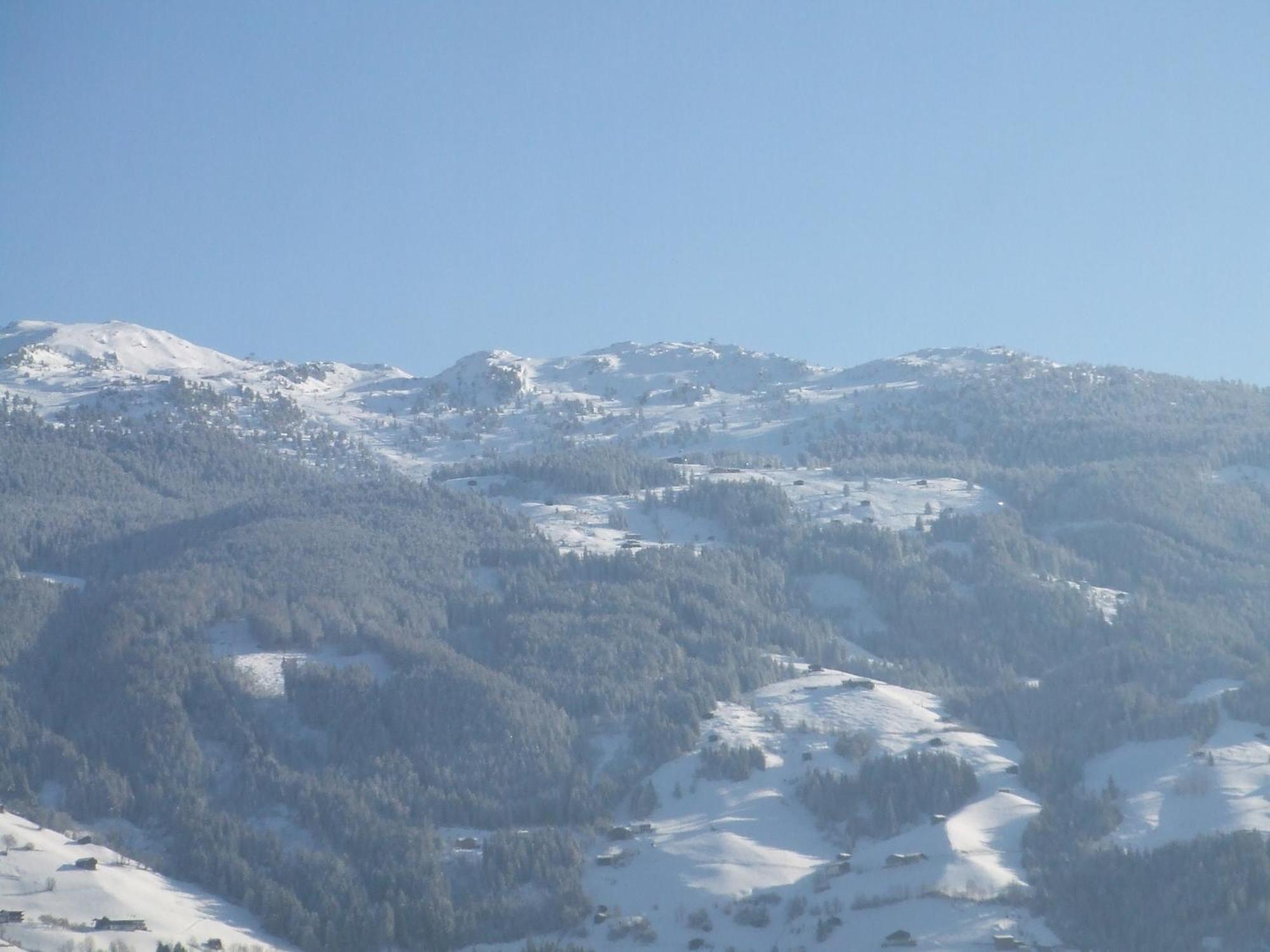 Apartment Landhaus Rieder Im Zillertal - Apart Arena Blick *